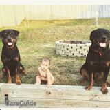 Motivated and dedicated in the safety and loving of your pet!