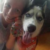 Professional pet care in Poquoson