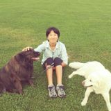 Excellent pet care provider available