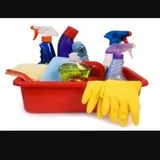 Meticulous cleaner