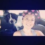 Dog sitter