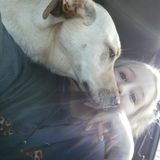 Compassionate and caring animal lover