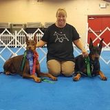 Excellent Pet care provider