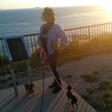 Torrance House Sitter Looking For Work in California