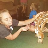Caring Kennel Services Available