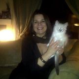 Westbank Cat Sitting Professional Available For Job Opportunities in British Columbia