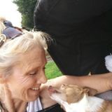 Pet Care Provider in Folsom, California