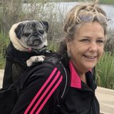 Reliable Dog Walker for Hire