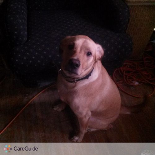 Pet Care Provider Fallon M's Profile Picture