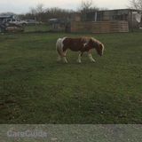 Spike & tyke landscaping