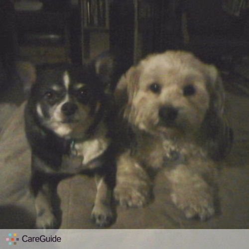 Pet Care Provider Kellilee Williams's Profile Picture