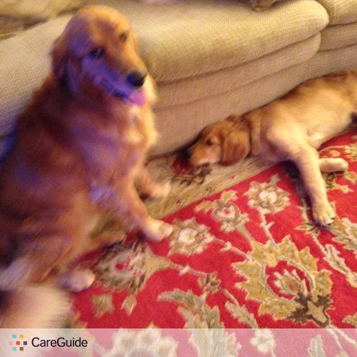 Pet Care Job Jenny R's Profile Picture