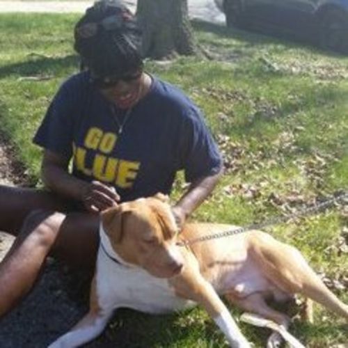 dog walker and cat sitter dog walker pet sitter in ypsilanti mi pet care provider gloria p s profile picture