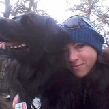 Loving Dog Walker Available in Willow Point