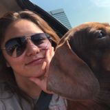 During the week fur baby walker