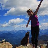 Looking For an Animal Lover Job in Bozeman, Montana