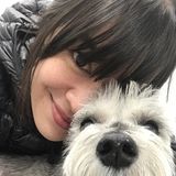 Friendly dog walker and pet feeding