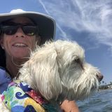 Looking to pet sit in San Diego,fun,honest,and animals love me!NO SNAKES