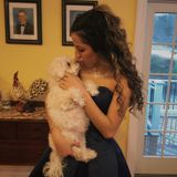 Experienced, loving and caring sitter and walker.