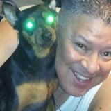 Interested In a Pet Sitter Opportunity in Mc Kinney