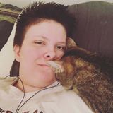 Sitter needed for 4 fur babies!