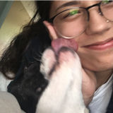 Animal lover that will give your pet lots of love and care!
