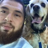 Dedicated House Sitter in South Windsor, Connecticut