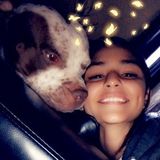Disciplined Pet Sitting Professional in Batavia