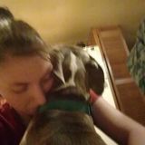Bremen Dog Walker Seeking Being Hired