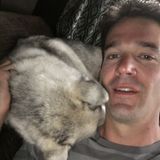 Bored human looking for animal friends :)