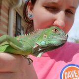 Available For a Petsitter Job in Taylors, South Carolina