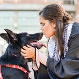 Fosters Sitter Interested In Being Hired in Alabama