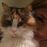 Caring and Reliable Pet Sitter