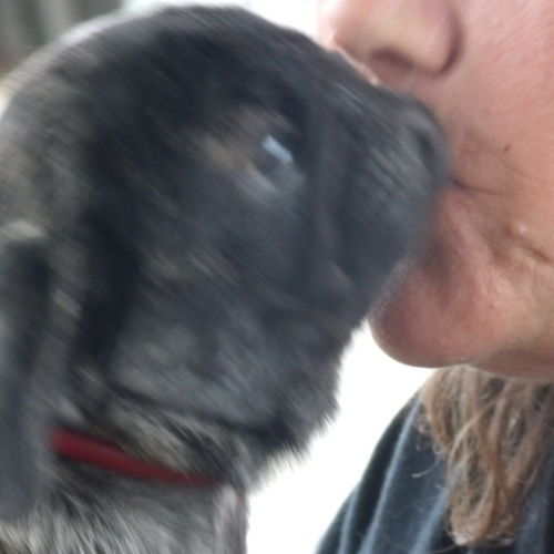 House Sitter Provider Lynn Burkett's Profile Picture