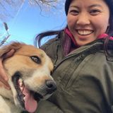 Loving Dog Walker/Sitter in Richmond. Flexible Hours.