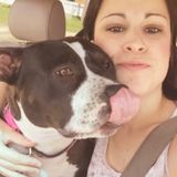 Flexible Animal Caregiver for Hire
