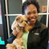 Available: Great Housesitter in Mount Prospect