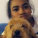 Friendly Sitter in Brampton, Ontario!