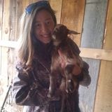 Staunton Pet Care Provider Looking For Work
