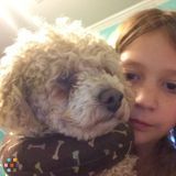 Loving,caring,responsible,dog lover