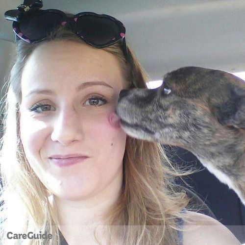 Pet Care Provider Callie T's Profile Picture