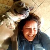 Greenville pet lover available for job opportunities