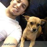 Pet sitter and walker
