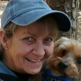 Denton Petsitter Searching for Job Opportunities