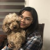 Colonial Heights Pet Carer Interviewing For Work