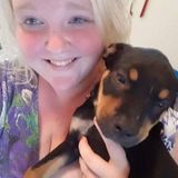 ANIMAL SITTER FOR YOUR LOVED ONES (All Animals).