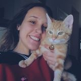Pet sitting looking for summer job