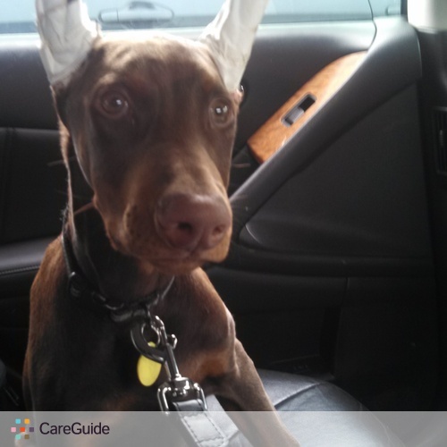 Pet Care Job Alan Mcguire's Profile Picture