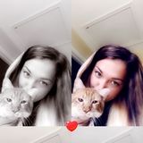 I am an animal lover!
