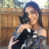 Pet Sitter (kitty) for April 7th-9th